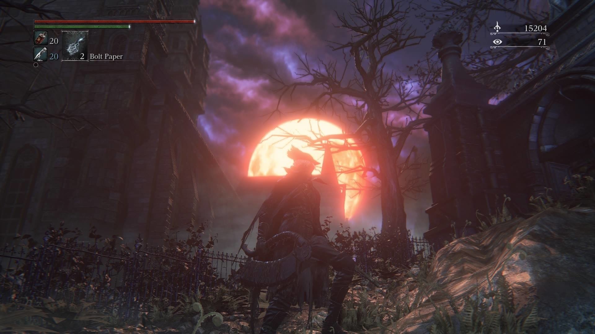 F1 2024 豪华版 截图3